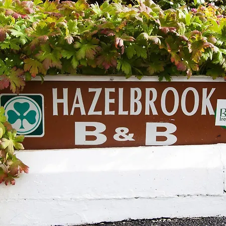 Hazelbrook Bed & Breakfast