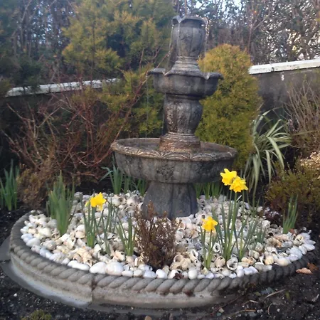 Bed & Breakfast Hazelbrook 4*