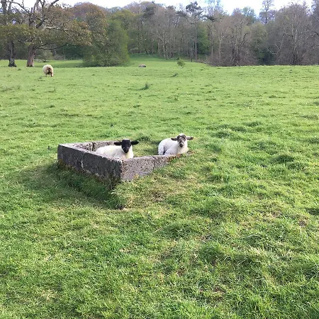 Hazelbrook 4*